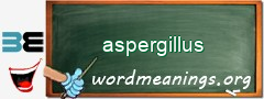 WordMeaning blackboard for aspergillus